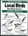 local birds